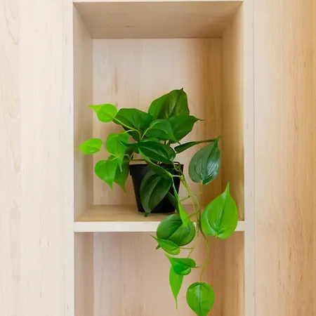 Nova New Boutique Building With Terrace And Private Parking דירה